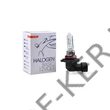 Kép 2/3 - Izzó 12V HIR1- 9011 Z65 halogén, PX20D, 12V/65W