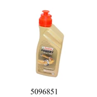 Motorolaj Castrol Power Racing 2T 1l-s