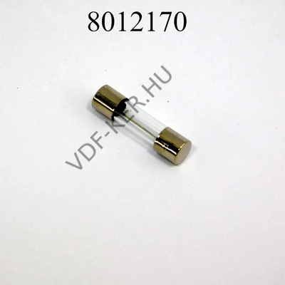 Biztosíték üveg 10A 6x30mm