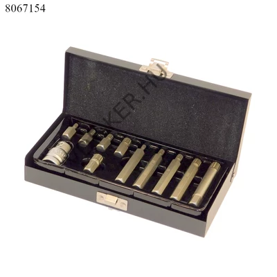Bitfej készlet spline 12lapú 11db-s M5-M12 YT-0415